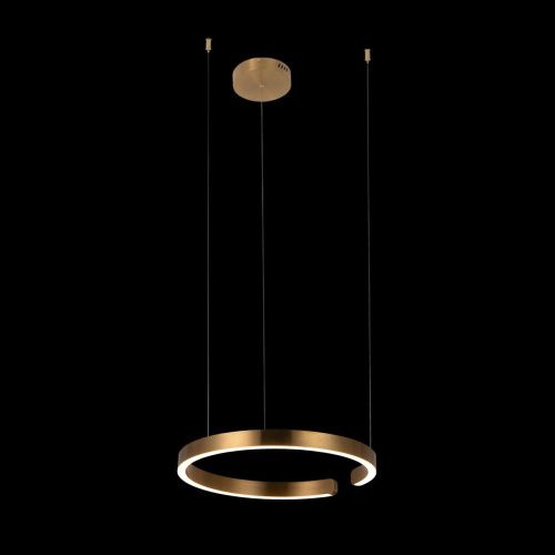 Светильник подвесной Loft It Ring 10013M - фото 2