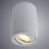 Светильник потолочный Arte Lamp Sentry (Сентры) A1560PL-1GY