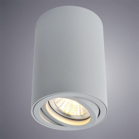 Светильник потолочный Arte Lamp Sentry (Сентры) A1560PL-1GY