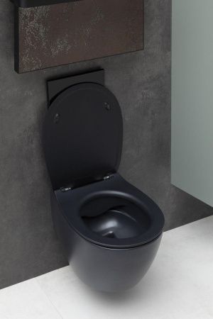 Чаша унитаза подвесная Allen Brau Fantasy 4.11004.31 цвет черный без сиденья безободковая каскадный смыв