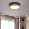 Светильник потолочный ImperiumLoft 310979-26