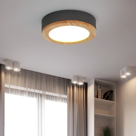 Светильник потолочный ImperiumLoft 310979-26