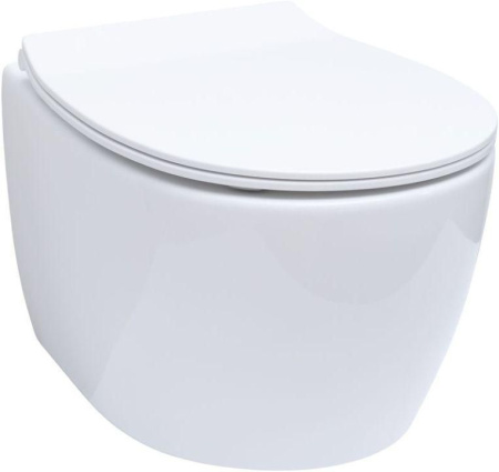 Чаша унитаза подвесная Allen Brau Fantasy 4.11004.20 цвет белый без сиденья безободковая каскадный смыв