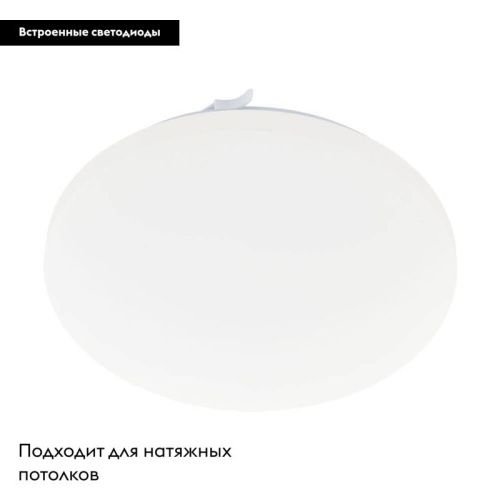 Настенно-потолочный светильник Eglo Frania (Франиа) 97872 - фото 2