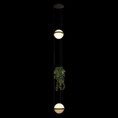 Светильник подвесной Loft It Jardin 10121/2P Dark grey - фото 2