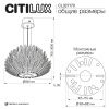 Люстра подвесная Citilux Deltoro (Делторо) CL327170