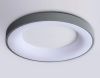 Светильник потолочный Ambrella Light Design (Десигн) FZ1402