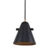 Светильник подвесной F-Promo Rigor (Ригор) 2844-1P