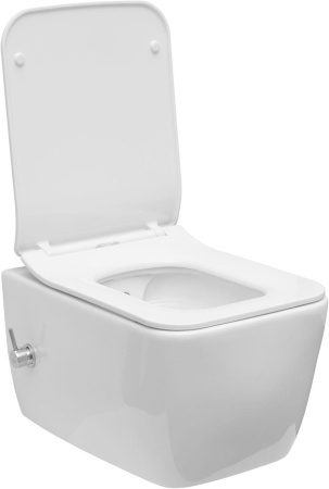 Чаша унитаза подвесная Allen Brau Liberty 4.33009.20 цвет белый без сиденья безободковая каскадный смыв