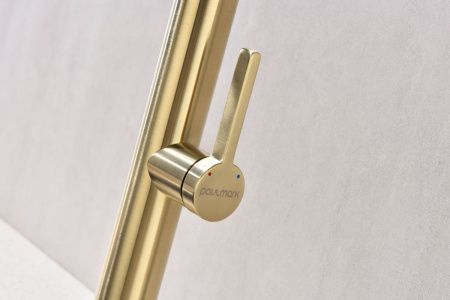 Смеситель для кухни Paulmark LEADER Le214101-LG на мойку золото