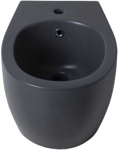 Биде Allen Brau Fantasy 4.11006.AN подвесное - фото 2