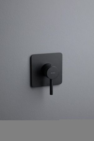 Смеситель для душа Allen Brau Priority 5.31012-31 встраиваемый в стену черный