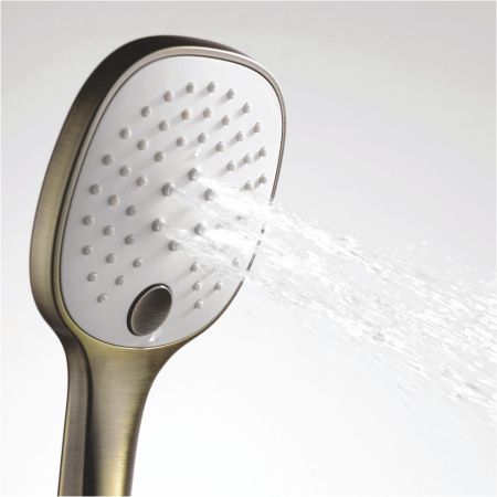 Душевая лейка Wasserkraft Exter 1600 A050 цвет бронза