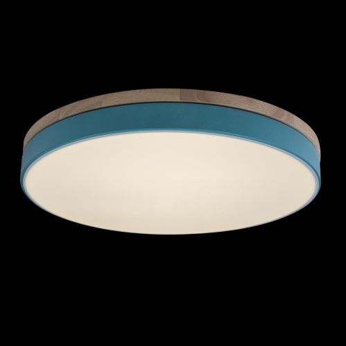 Светильник потолочный Loft It Axel 10001/36 Blue - фото 4