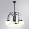 Люстра на штанге Arte Lamp Mebsuta (Мебсута) A1675LM-8BK