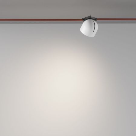 Трековый светодиодный светильник Maytoni Cup (Чаша) TR124B-12W4K-W