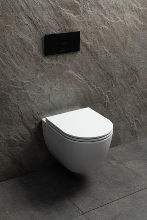 Чаша унитаза подвесная Allen Brau Priority Tornado 4.31008.20 цвет белый без сиденья безободковая душевой смыв