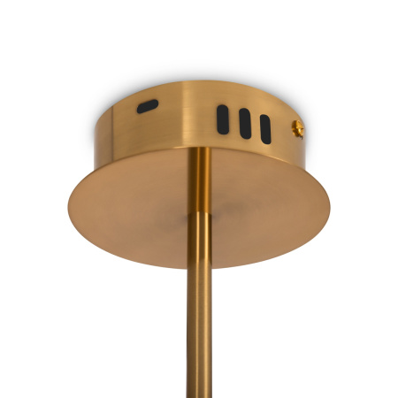 Светильник подвесной Freya Fancy (Нарядный) FR6059PL-L88BS