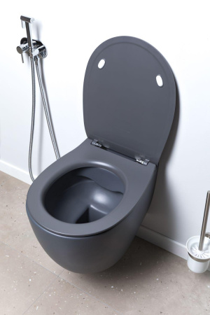 Чаша унитаза подвесная Allen Brau Fantasy 4.11004.AN цвет черный без сиденья безободковая каскадный смыв