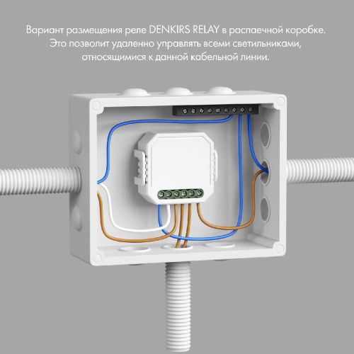 Одноканальное Wi-Fi реле-выключатель Denkirs Relay (Релаы) RL1001-SM/1 - фото 2