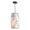 Светильник подвесной ST Luce Root (Роот) SL6228.403.01
