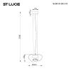 Светильник подвесной ST Luce Foray (Фораы) SL6019.303.01