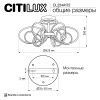 Люстра на штанге Citilux Salma smart (Салма смарт) CL224A172
