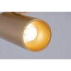 Светильник потолочный iLedex Plum (Плум) 100 BR