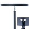 Торшер Arte Lamp SCEPTRUM (СЦЕПТРУМ) A1822PN-1BK