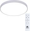Светильник накладной Arte Lamp Arena (Арена) A2671PL-1WH
