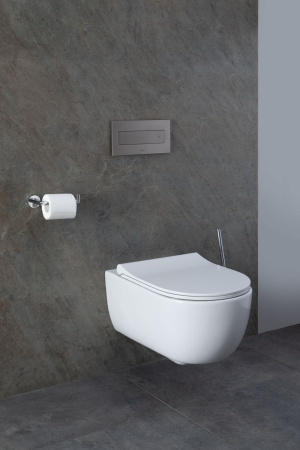 Чаша унитаза подвесная Allen Brau Priority 4.31001.20 цвет белый без сиденья безободковая каскадный смыв