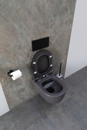 Чаша унитаза подвесная Allen Brau Priority 4.31002.AN цвет черный без сиденья безободковая каскадный смыв