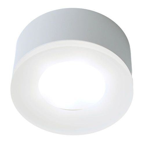 Светильник накладной Feron HL456 51346 - фото 2