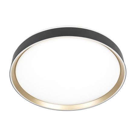 Светильник потолочный музыкальный Citilux Boss (Босс) CL751451G