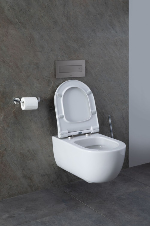 Чаша унитаза подвесная Allen Brau Priority 4.31001.20 цвет белый без сиденья безободковая каскадный смыв