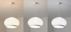 Светильник подвесной Delight Collection 8610P/B LED white
