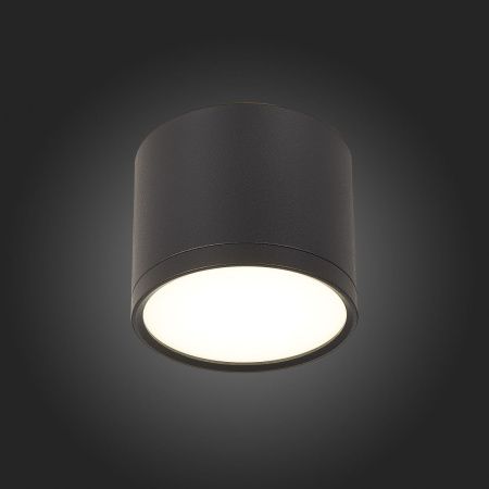 Светильник потолочный ST Luce Rene (Рене) ST113.442.09