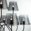Люстра на штанге Lumion Smoky (Смокы) 6570/12C