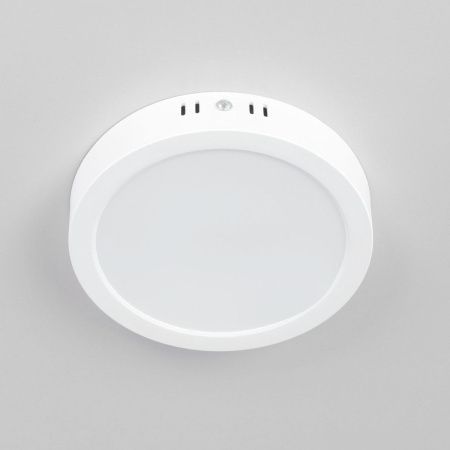 Светильник накладной Citilux Галс CL5516N