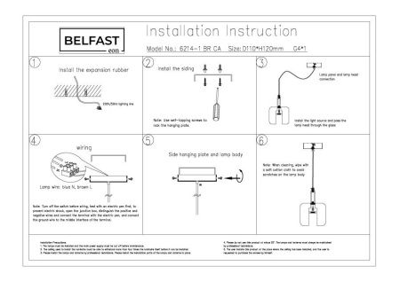 Светильник подвесной Belfast Pansy (Пансы) 6214-1 BR CA