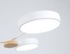 Люстра на штанге Ambrella Light LineTech (ЛинеТецх) FL4858