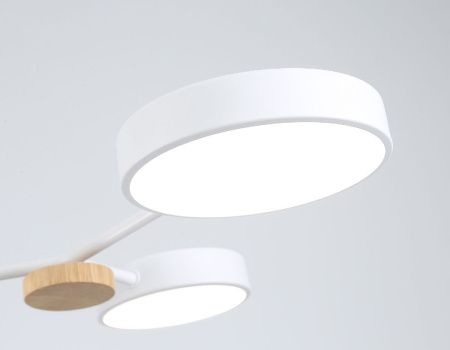 Люстра на штанге Ambrella Light LineTech (ЛинеТецх) FL4858