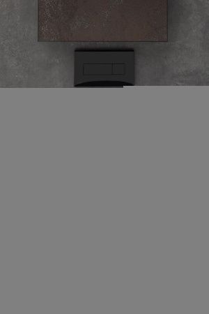 Чаша унитаза подвесная Allen Brau Fantasy 4.11004.31 цвет черный без сиденья безободковая каскадный смыв