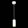 Светильник подвесной ST Luce Zoom (Зоом) ST600.533.10