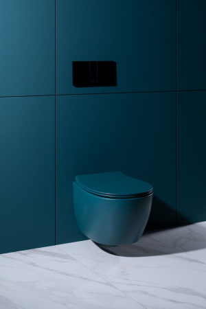 Чаша унитаза подвесная Allen Brau Fantasy 4.11004.PT цвет зеленый без сиденья безободковая каскадный смыв