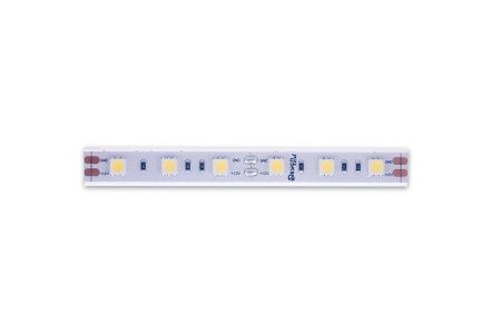 Светодиодная лента Designled DSG560 00-00000518