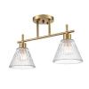 Светильник потолочный Lumion Vivian (Вивиан) 8188/2C