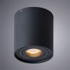 Светильник потолочный Arte Lamp Falcon (Фалцон) A5645PL-1BK