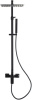Душевая стойка Allen Brau Infinity 5.21012-31 настенная цвет черный Душевая стойка Allen Brau Infinity 5.21012-31 настенная цвет черный