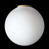 Светильник потолочный Citilux Ron (Рон) CL941D25B2